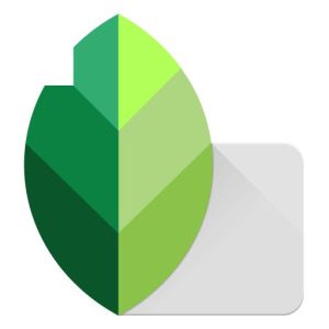 Download Snapseed for Windows | Professional Photo Editing Tool