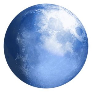 Download Pale Moon Browser for Windows | Fast, Secure & Lightweight Web Browser